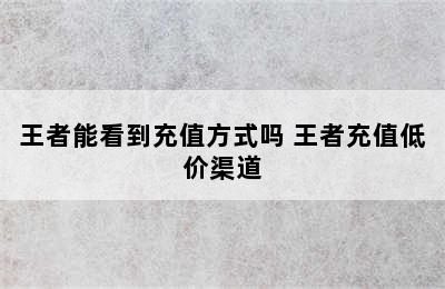 王者能看到充值方式吗 王者充值低价渠道